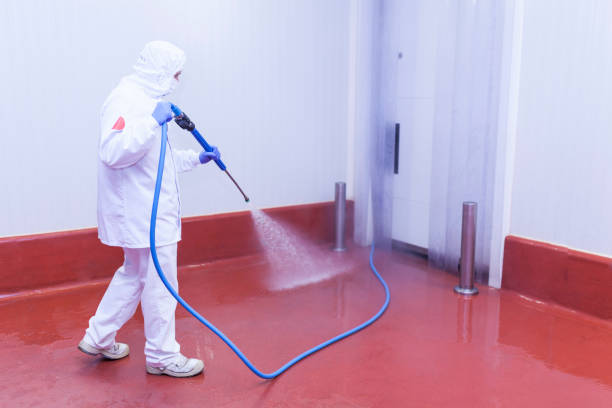Best Concrete Sealing  in Buhl, ID