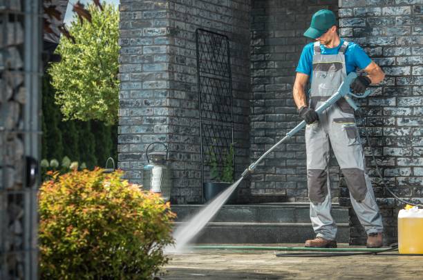 Best Solar Panel Cleaning  in Buhl, ID